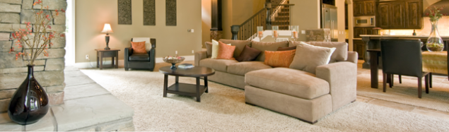 carpet cleaning services in philadelphia